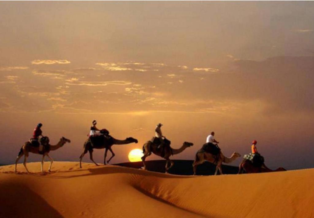 Bed and Breakfast Camp Sahara Majestic M’hamid El Ghizlane Exterior foto
