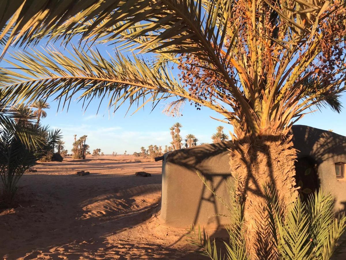 Bed and Breakfast Camp Sahara Majestic M’hamid El Ghizlane Exterior foto