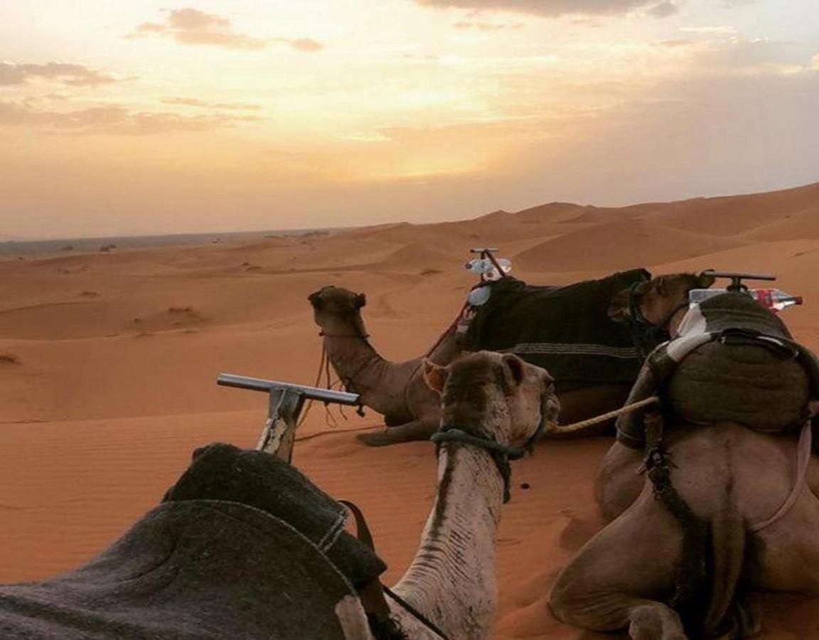 Bed and Breakfast Camp Sahara Majestic M’hamid El Ghizlane Exterior foto